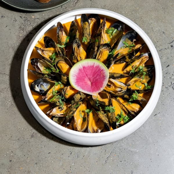 Paraiso's mussels in orange broth with cilantro and a watermelon radish slice in a white bowl.
